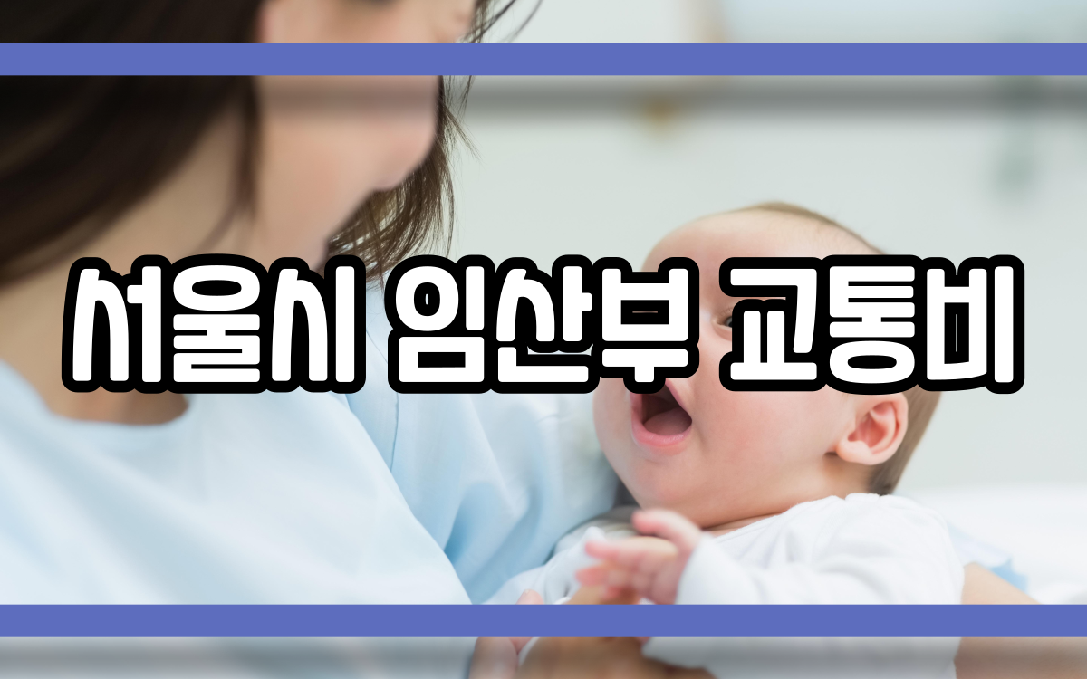  서울시 임산부 교통비 지원