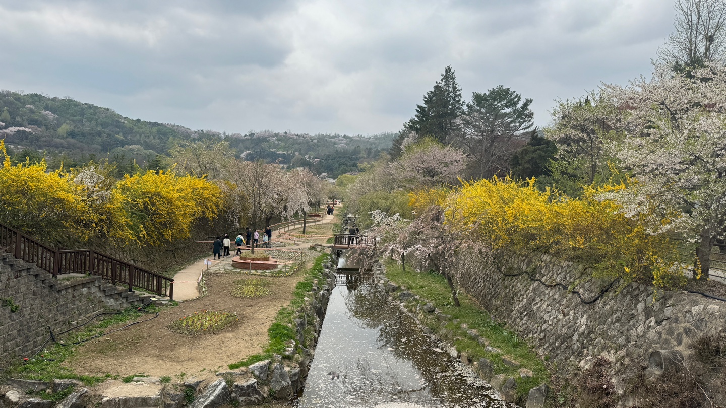 국립현충원