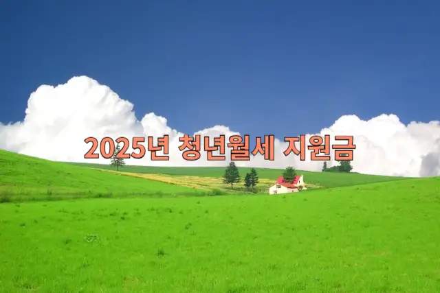 2025년 청년월세 지원금 관련 이미지