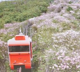 함양 대봉산 모노레일