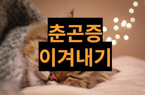  [건강정보] 춘곤증, 어떻게 이겨낼까요?