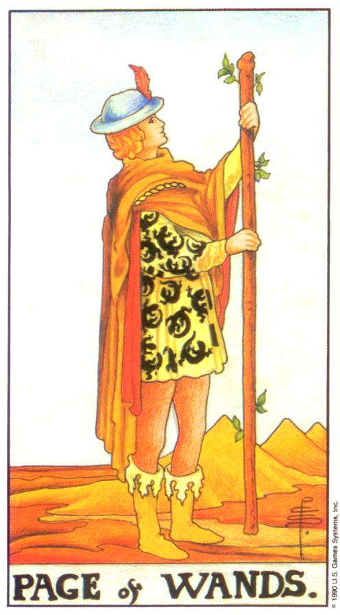  [마이너/완드/정방향] Page of Wands (완드 시종) 해석/풀이/키워드/정리