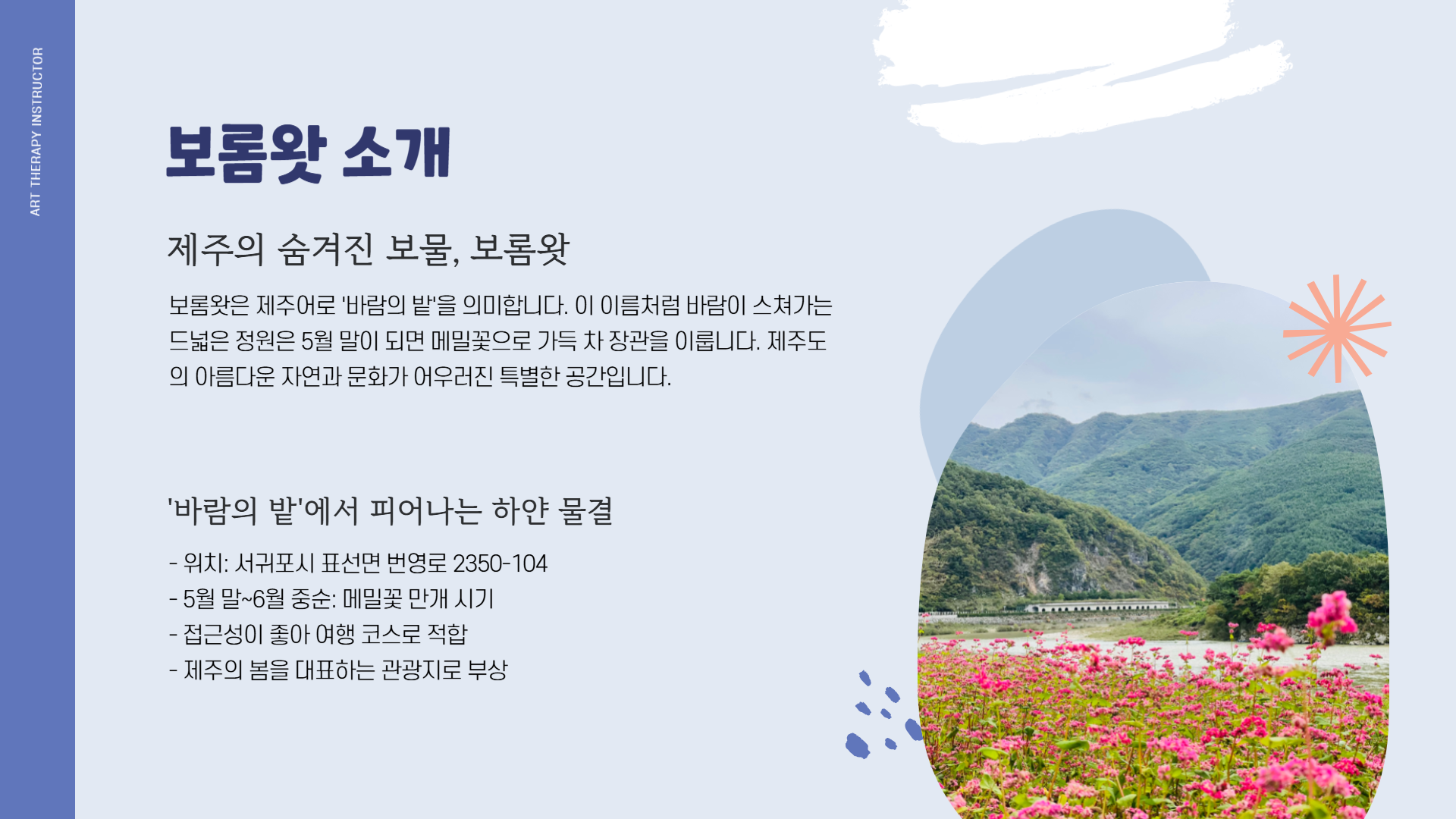 제주 보롬왓 메밀꽃축제