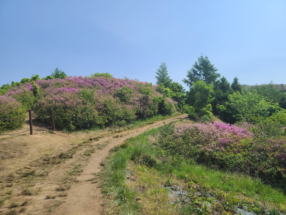 흑약 100대 지리산 바라봉 최단 등산코스 25