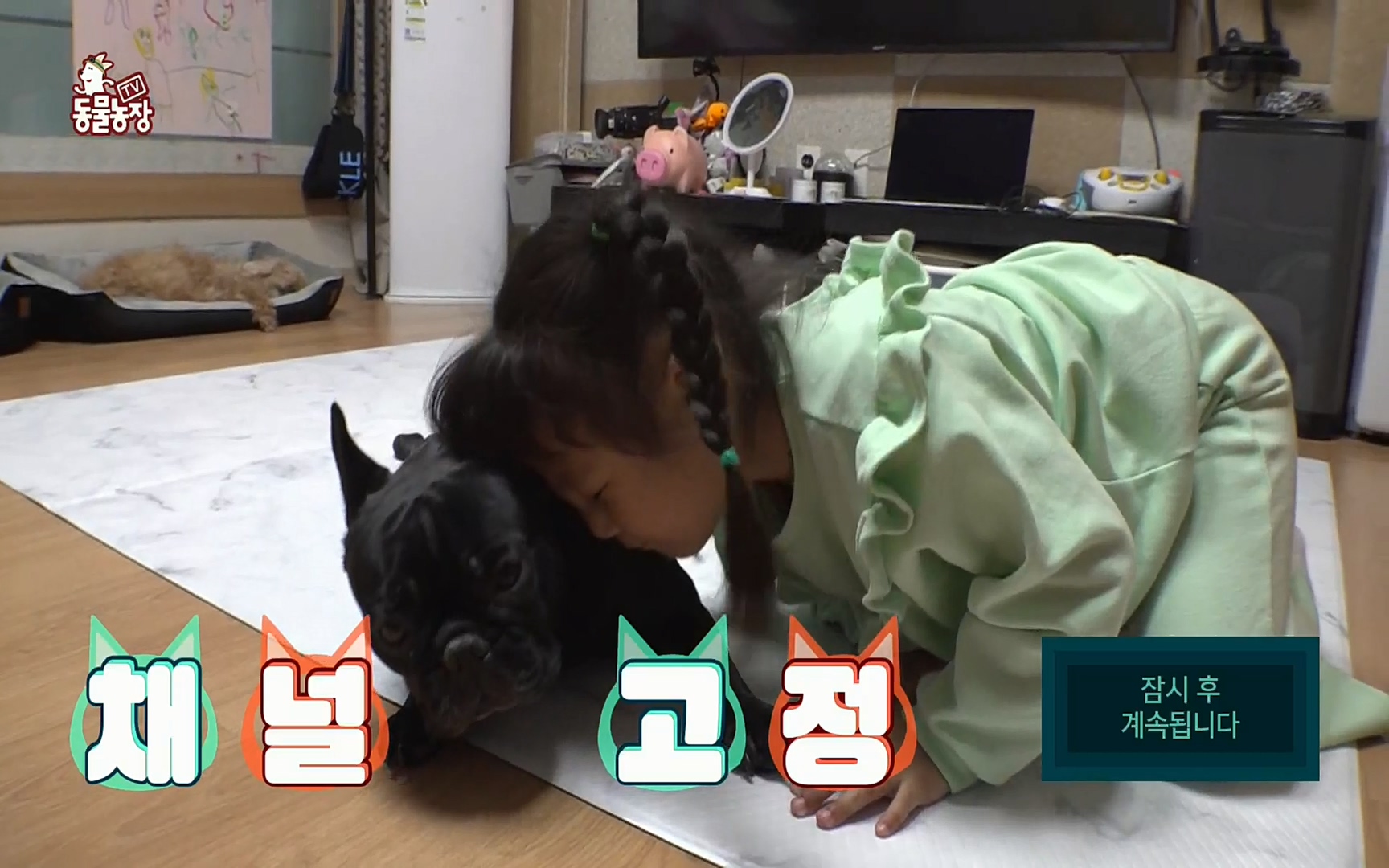 TV 동물농장.E1061.220320p.H264-F1RST.mp4_20220320_183610.336.jpg
