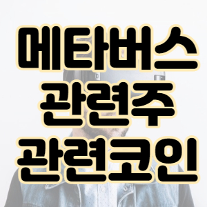  차세대 먹거리 메타버스 관련주 대장주코인 뜻풀이