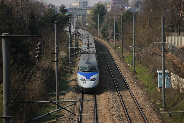 KTX 취소표 예매