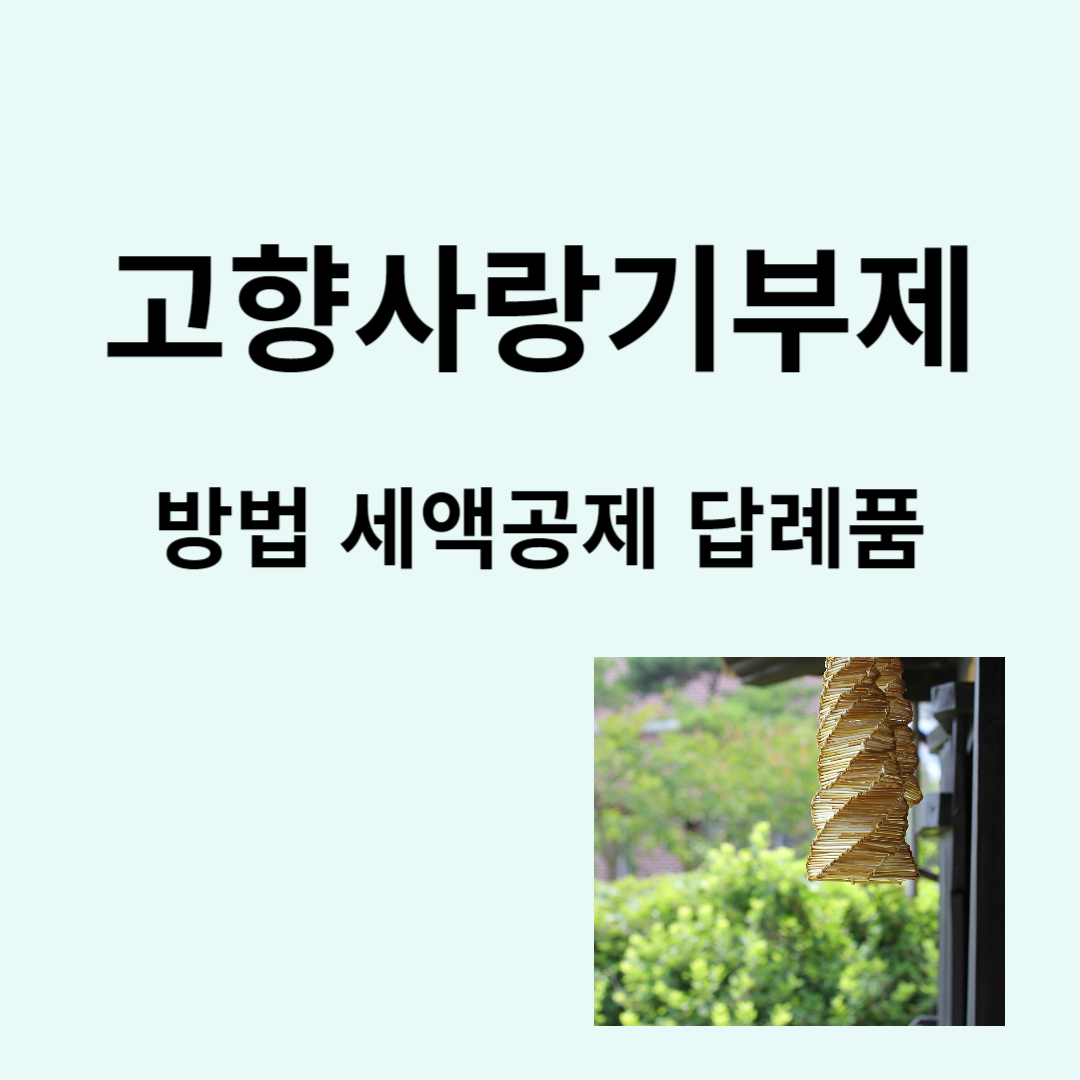 고향사랑기부제