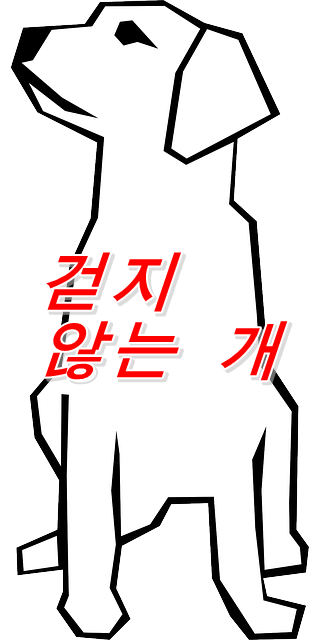  걷지 않는 개와의 산책, 어떻게 하면 좋을까?
