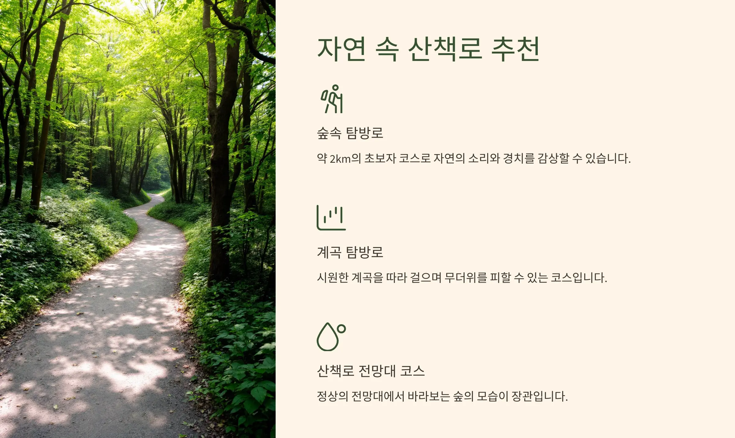 옥화 자연휴양림 산책로