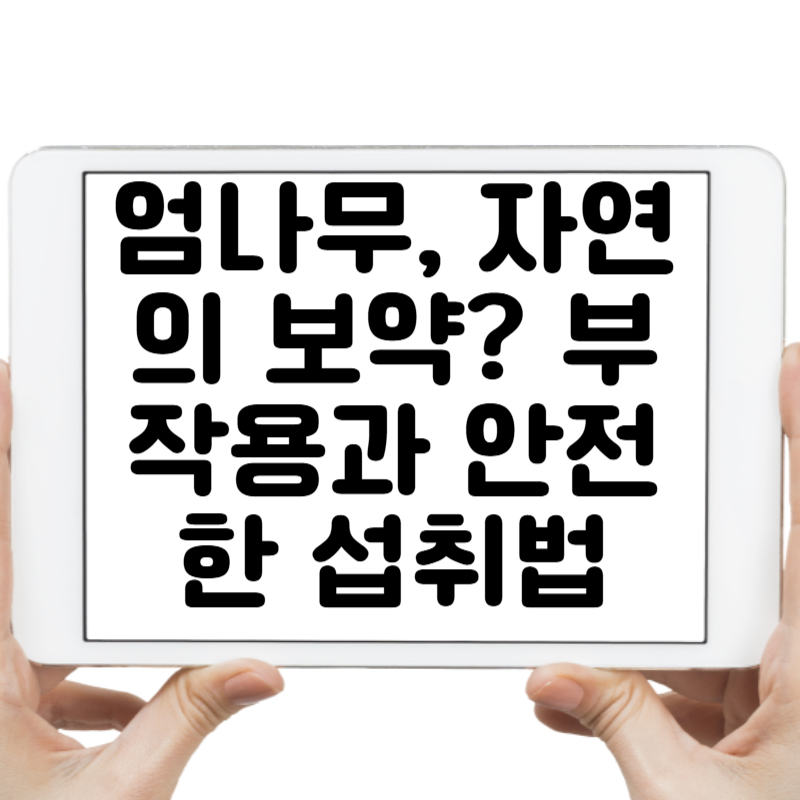 엄나무, 자연의 보약 부작용과 안전한 섭취법까지 알아보자