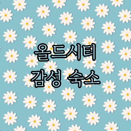 치앙마이 올드시티 감성 숙소! 림위앙