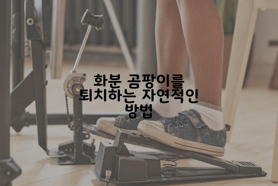 화분 곰팡이를 퇴치하는 자연적인 방법