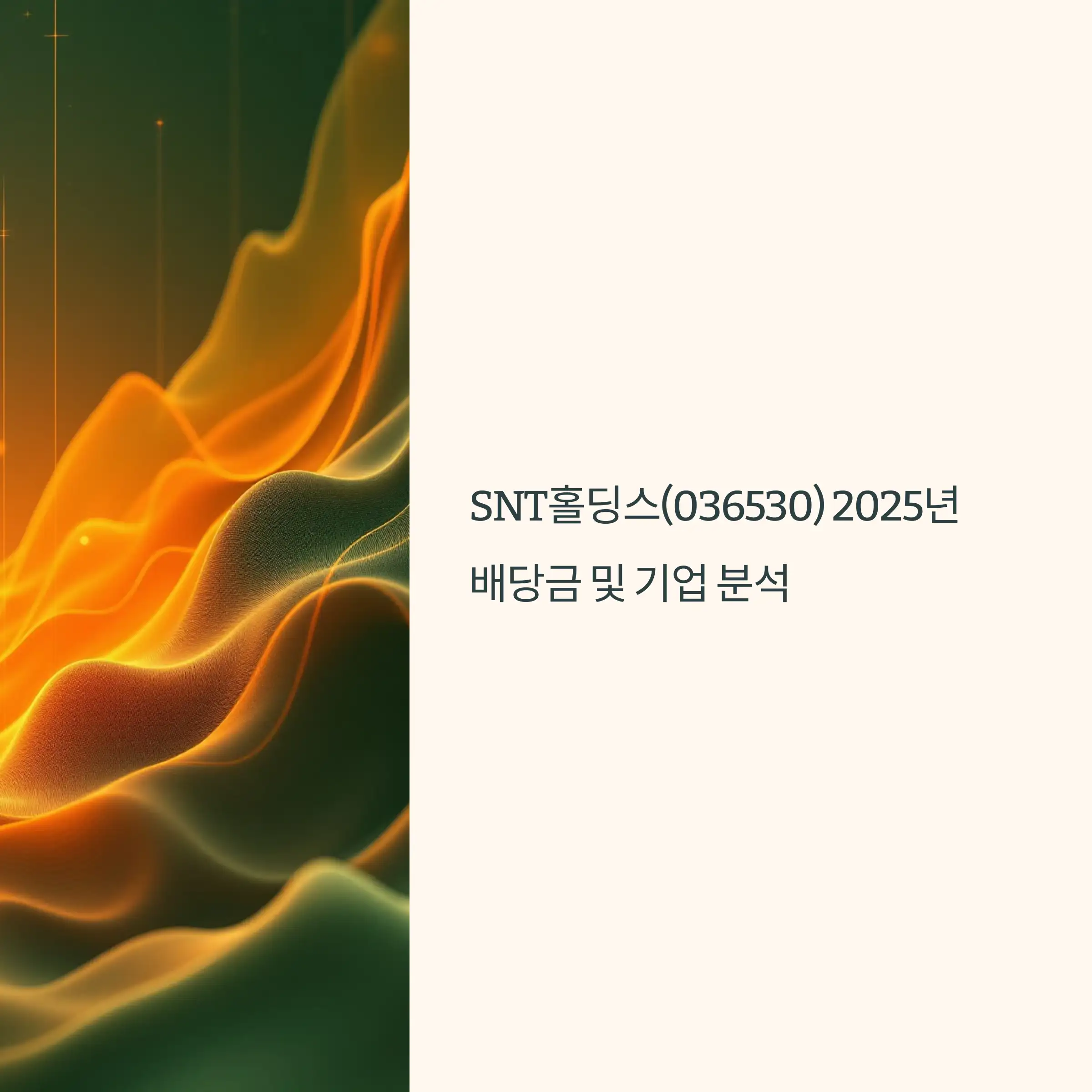 SNT홀딩스(036530) 2025년 배당금