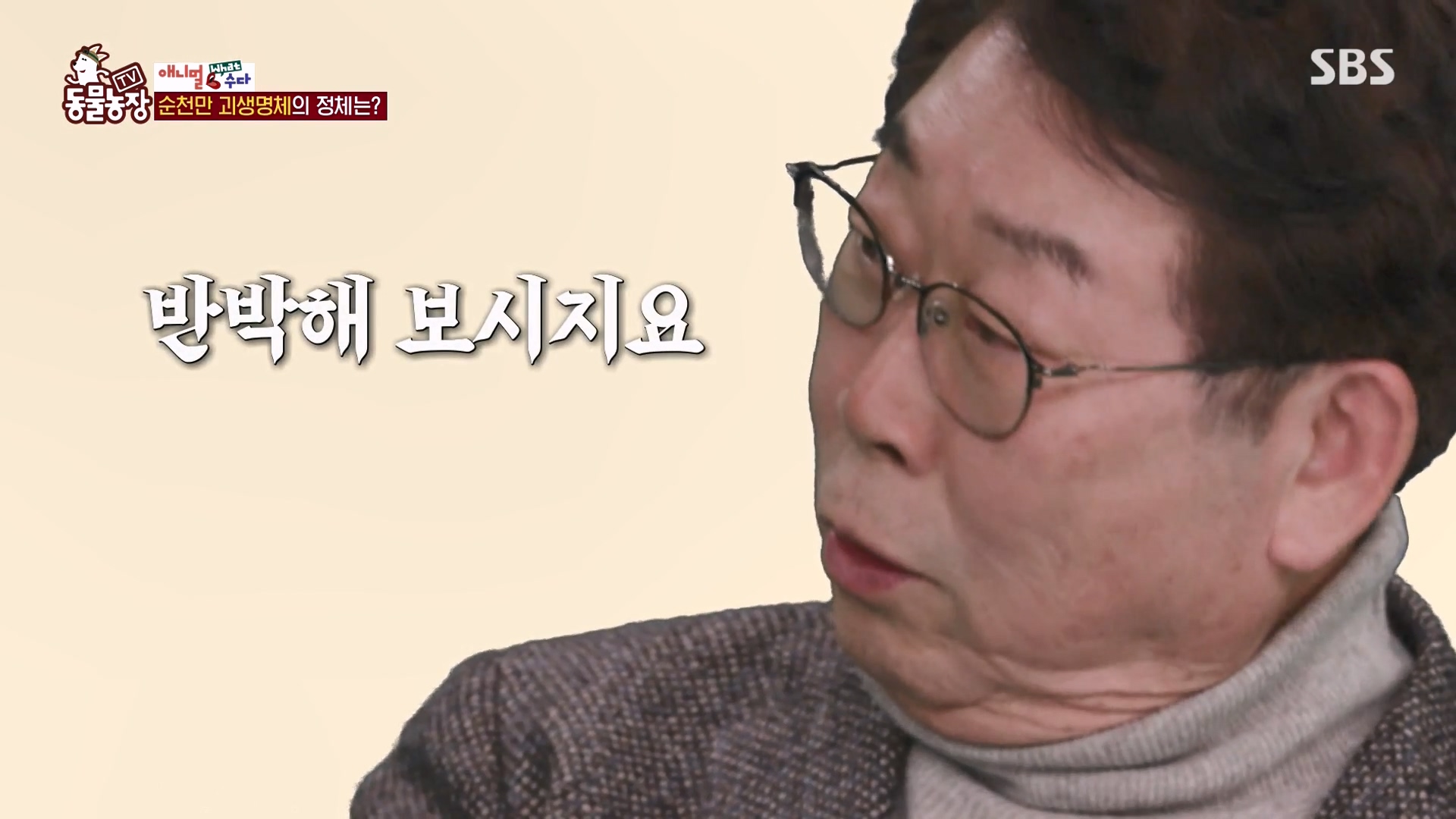 TV 동물농장.E1164.240324p-NEXT.mp4_20240324_170356.525.jpg