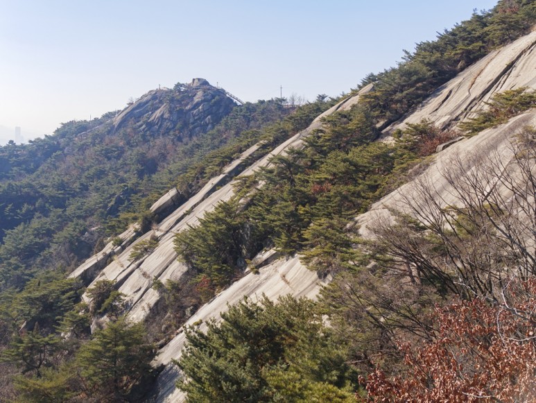 호랑이가 인왕산 호랑이 만나러 7