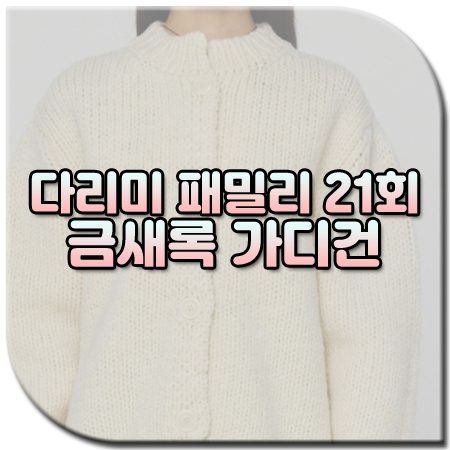 다리미 패밀리 21회 금새록 가디건