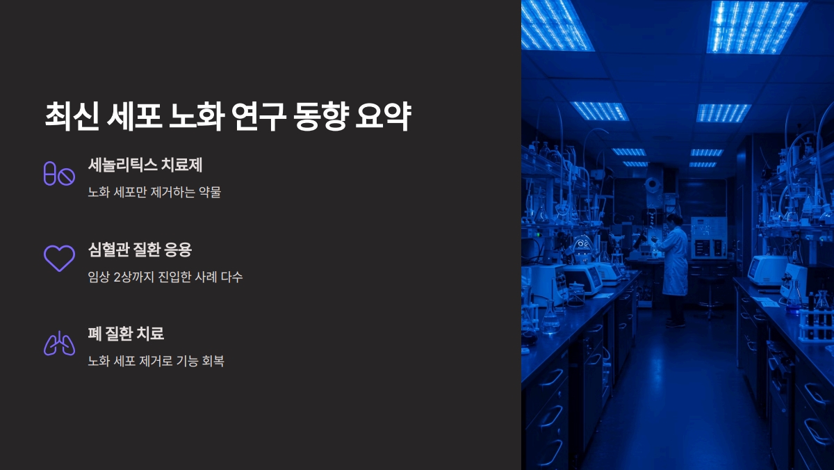 세포 노화