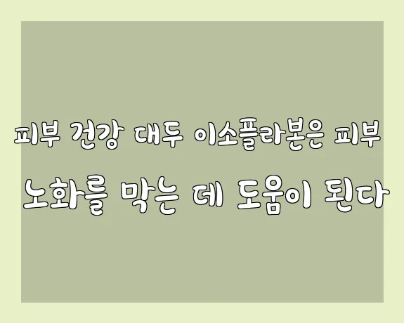 피부 건강 대두 이소플라본은 피부 노화를 막는 데 도움이 된다