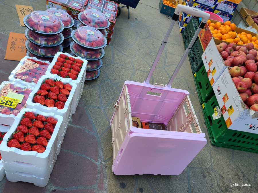 바구니 장캐리어 편해요 6