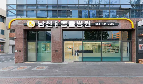 남산연합동물병원