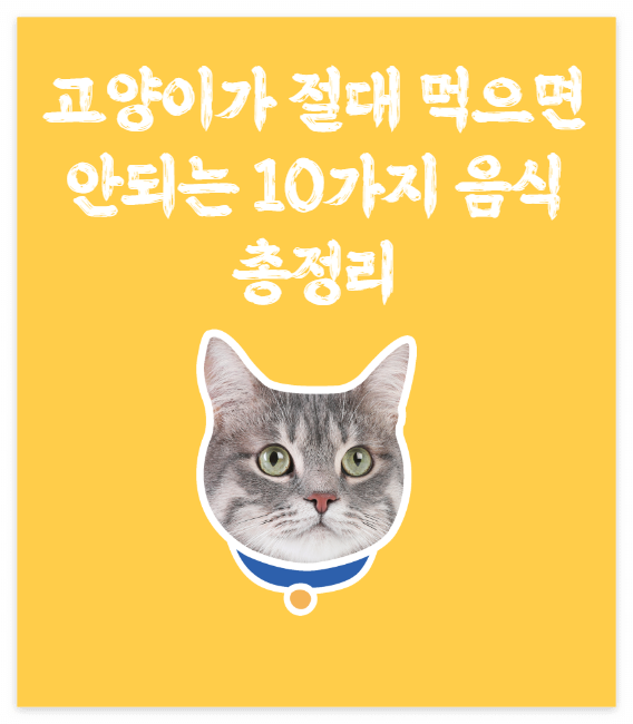  고양이가 절대 먹으면 안 되는 10가지 음식 총정리