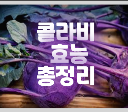 콜라비 효능 총정리