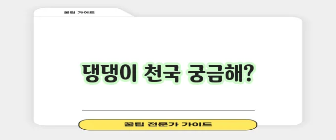 다니맘이 소개하는 루프탑 애견운동장 맛집 애견카페는 어떠세요?