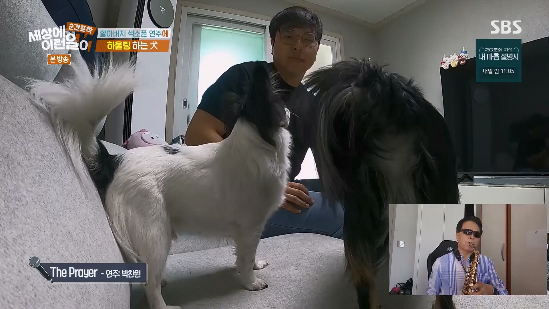 순간포착 세상에 이런일이.E1278.240518p.H264-F1RST.mp4_20240519_155526.811.jpg