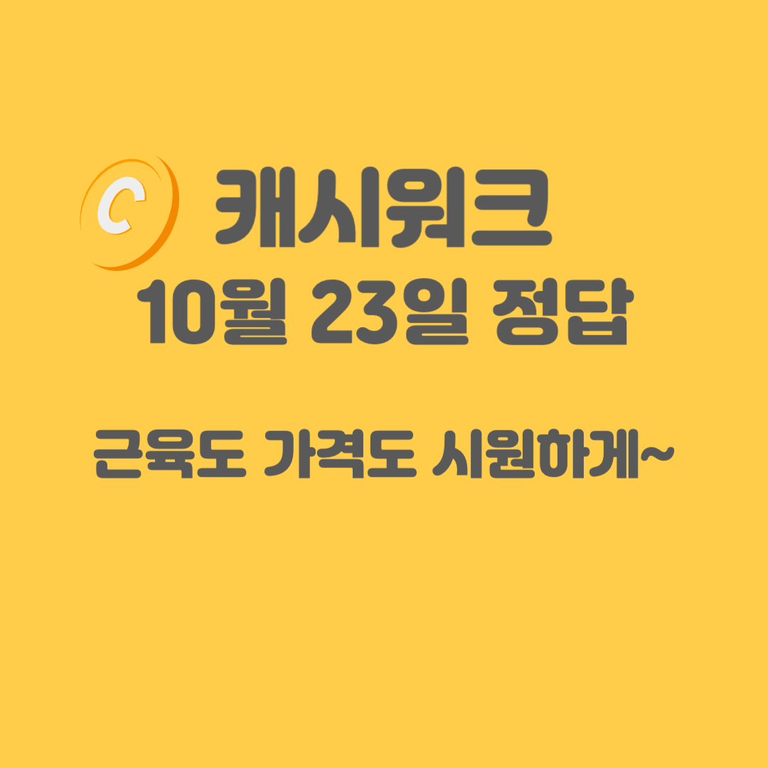 닥터키-밸런스패치-캐시워크