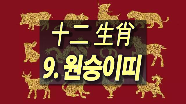  [평생 운세] "태어난 연도"별 운명 - 9. 원숭이띠