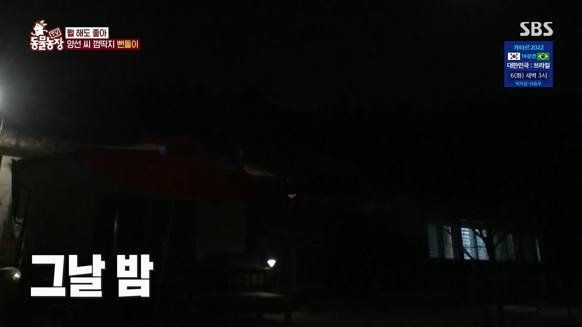 TV 동물농장.E1098.221204p.H264-F1RST.mp4_20221204_175402.553.jpg