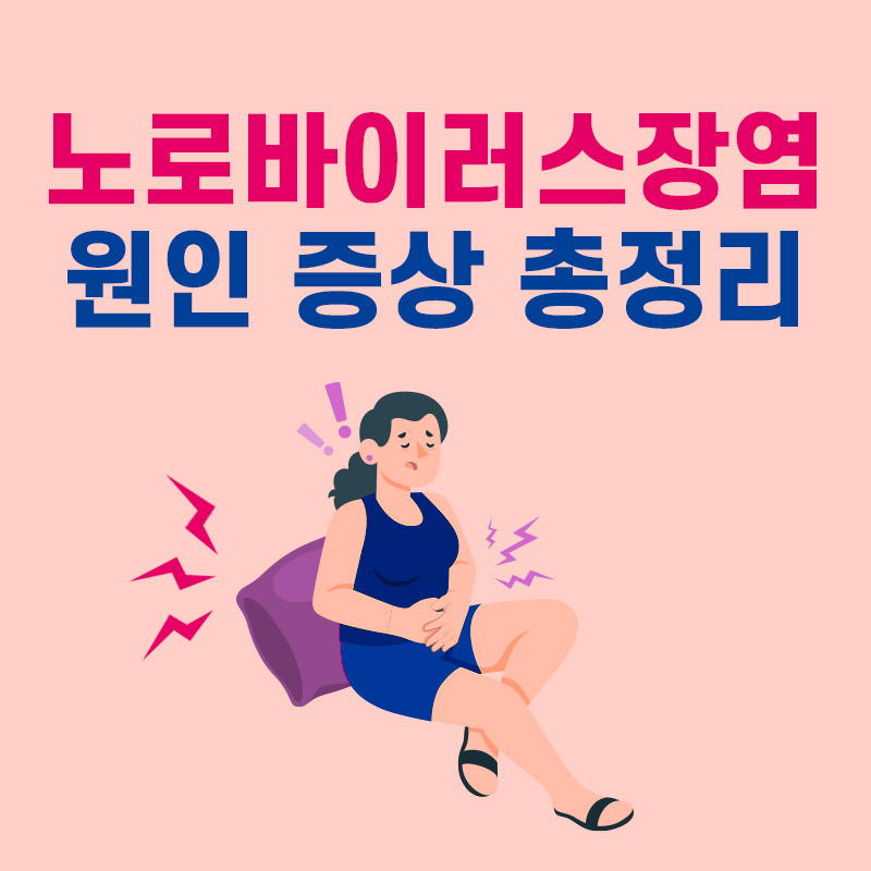  노로바이러스 장염 증상 원인 전염 총정리
