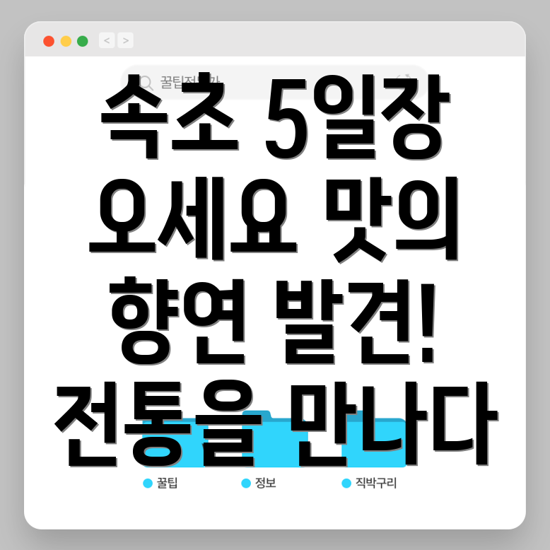 속초 시장 5일장