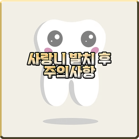  사랑니 발치 후 주의사항 7가지 : 부작용 드라이소켓 주의