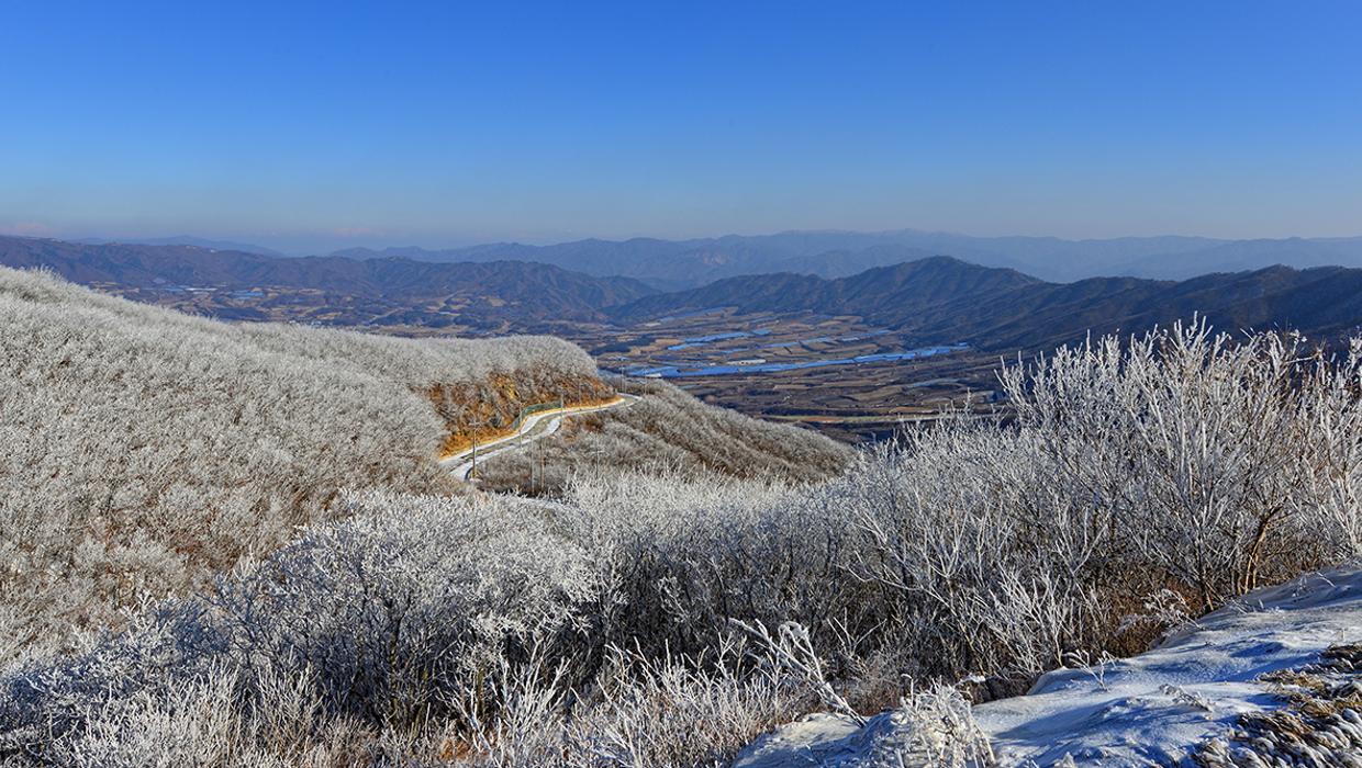 양구 해안 펀치볼