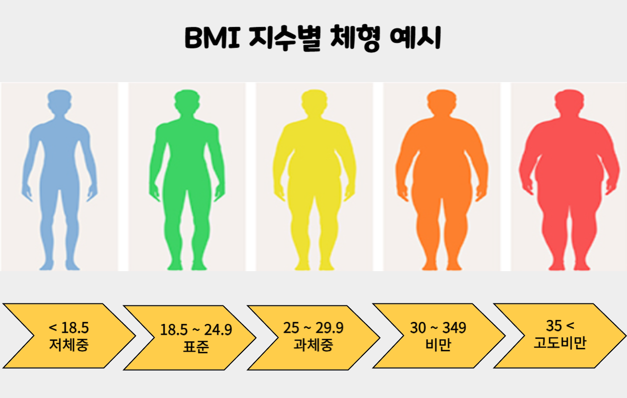 BMI 지수별 체형