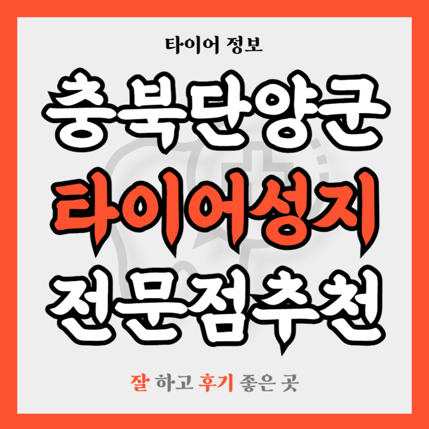 충북 단양군 타이어 전문점 추천