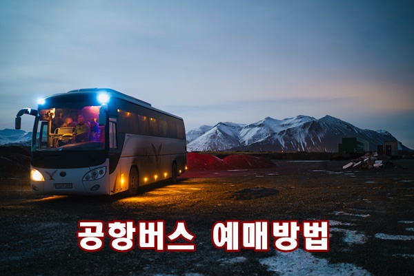 저 멀리 눈덮힌 산이 보이고 양옆으로 더듬이처럼 보이는 백미러를 단 버스가 빛을 내며 달리고 있다.