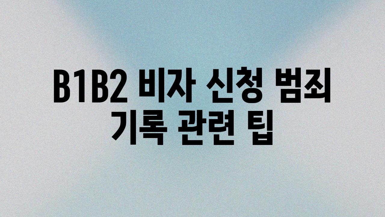 B1B2 비자 신청 범죄 기록 관련 팁