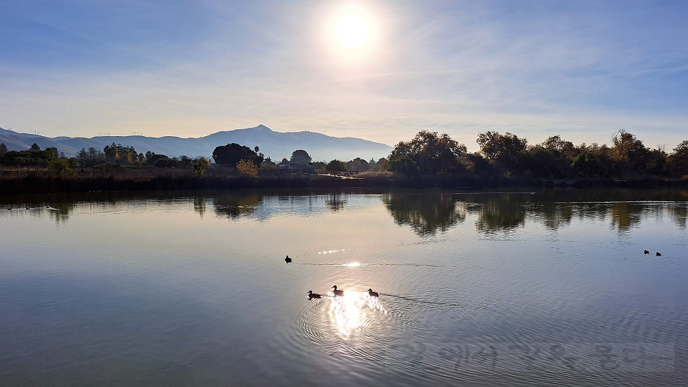 Central Park(Fremont&#44;CA)