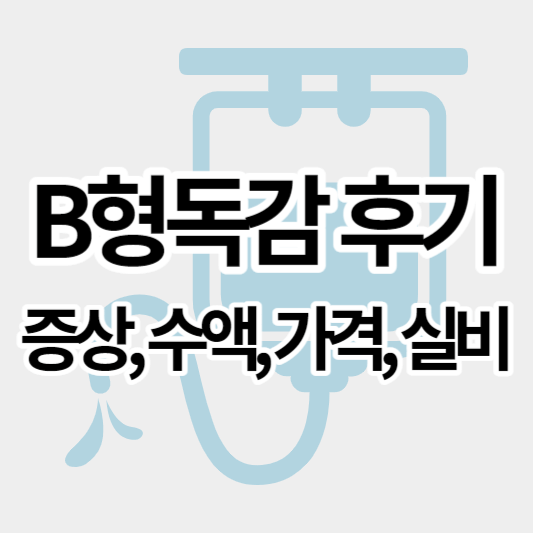 b형독감후기_썸네일