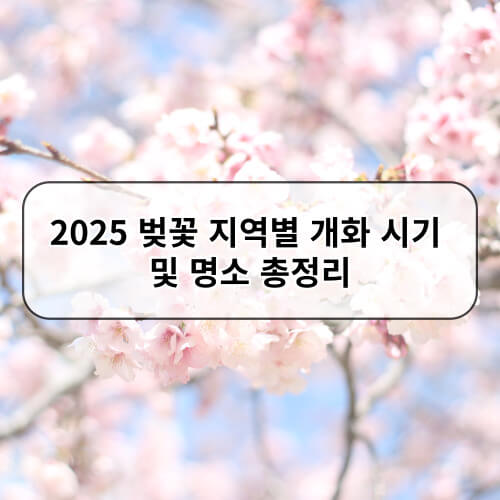 2025 벚꽃 지역별 개화 시기 및 명소 총정리