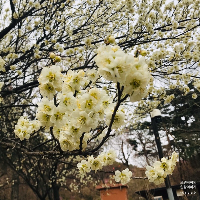  존 F.케네디의 명언