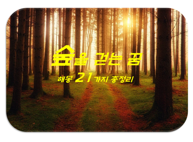  숲을 걷는 꿈 해몽 21가지 총정리