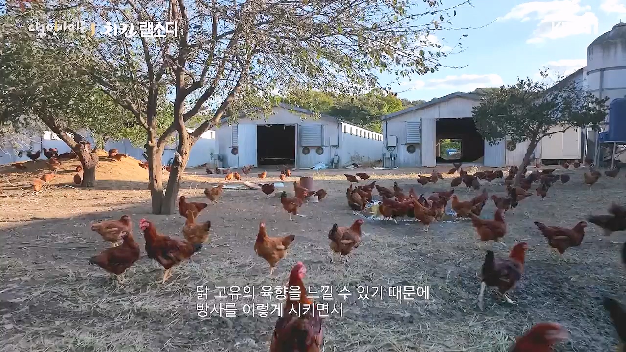 다큐 인사이트.E191.240532p-NEXT.mp4_20240601_163427.125.jpg