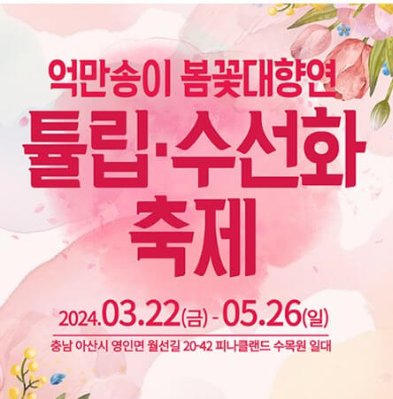억만송이 봄꽃대향연 튤립 수선화 축제