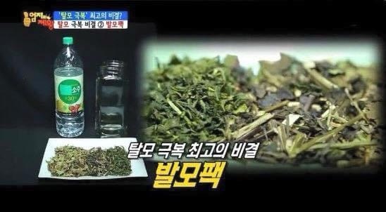  엄지의 제왕 발모팩 탈모 극복의 비밀 발모차 발모액 발모팩 만드는법