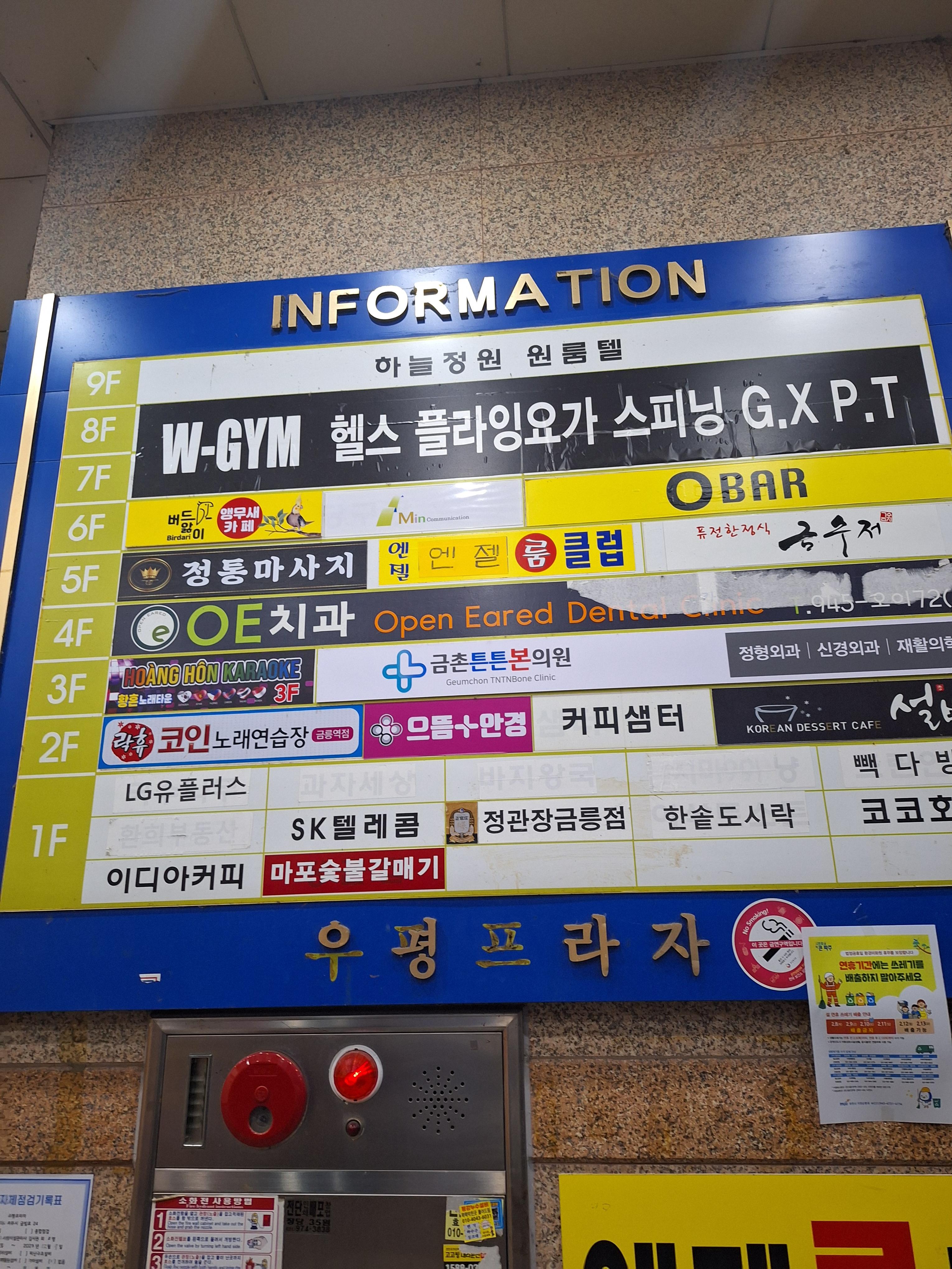 앵무새노래연습장 이미지