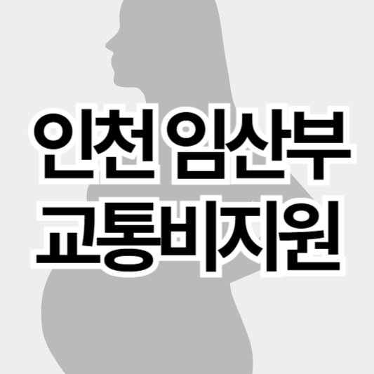 2024_인천_임산부_교통비지원사업_썸네일
